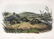 J.J Audubon First ed. Aquatint Northern Meadow Mouse - 2
