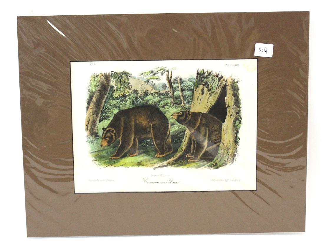J.J Audubon First ed. Aquatint Cinnamon Bear (1 of 2)