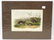 J.J Audubon First ed. Aquatint Yellow-Cheeked Meadow