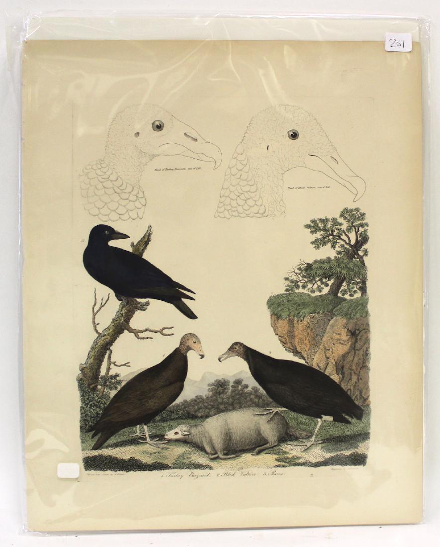 A. Wilson First ed. Aquatint Plate 75 (1 of 2)