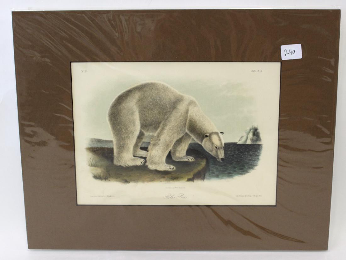 J.J Audubon First ed. Aquatint Polar Bear (1 of 2)