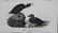 J.J. Audubon. Octavo. Black or Surf Duck - 2