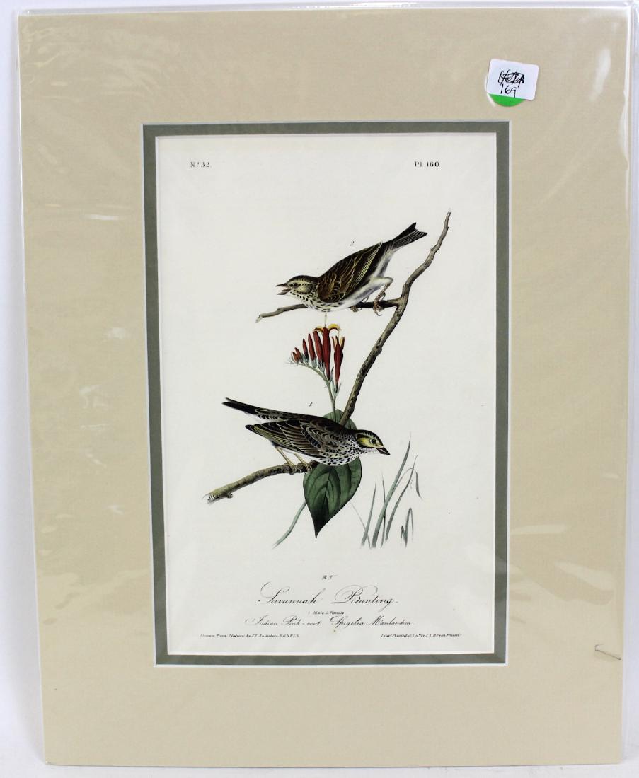 J.J. Audubon. Octavo. Savannah Bunting (1 of 3)