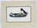 J.J. Audubon. Octavo. Little Auk Sea Dove