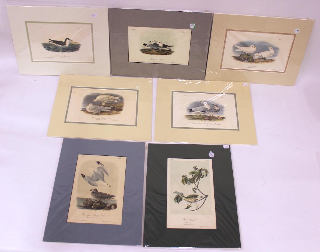 J. J. Audubon Original Aquatints (7) (1 of 9)