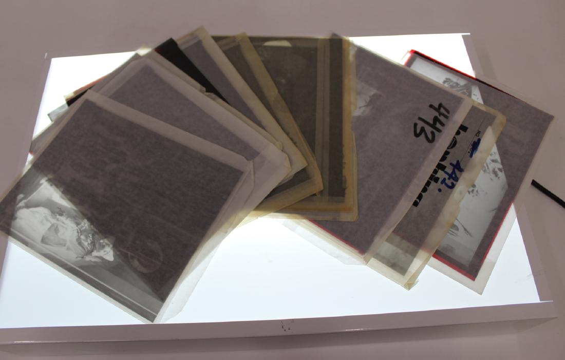 Wizard of Oz Negatives (13) (1 of 6)