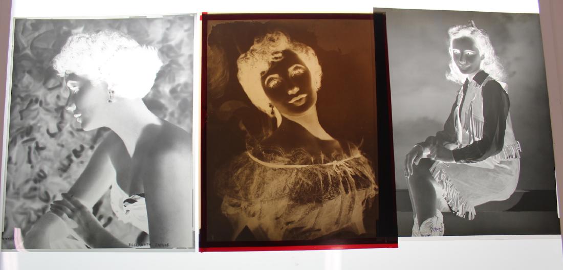 Elizabeth Taylor Photographs & Negatives (5) (1 of 2)