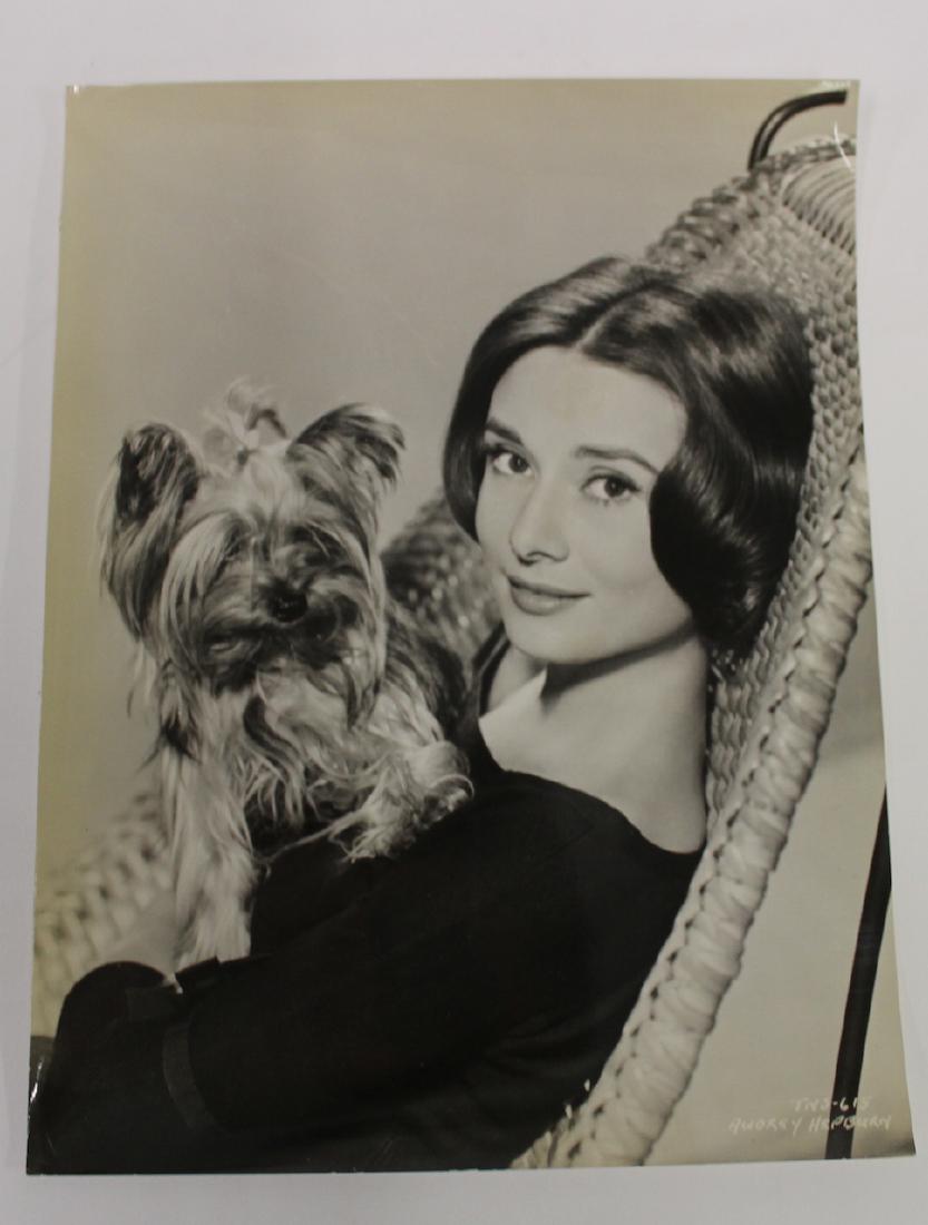 Vintage Movie Stills inc. Welborne Portrait (6) (1 of 7)