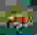 item-65849096=2
