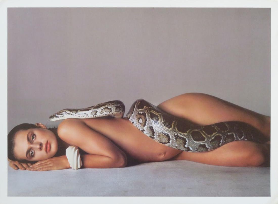 Nastassja Kinski . Richard Avedon Photo Sgd.: Photograph of Nastassja Kinski a German actress. This photograph was taken by Richard Avedon and measures 12" x 16.5" and is dedicated to Bill and signed by Avedon. It is printed on double weight pape