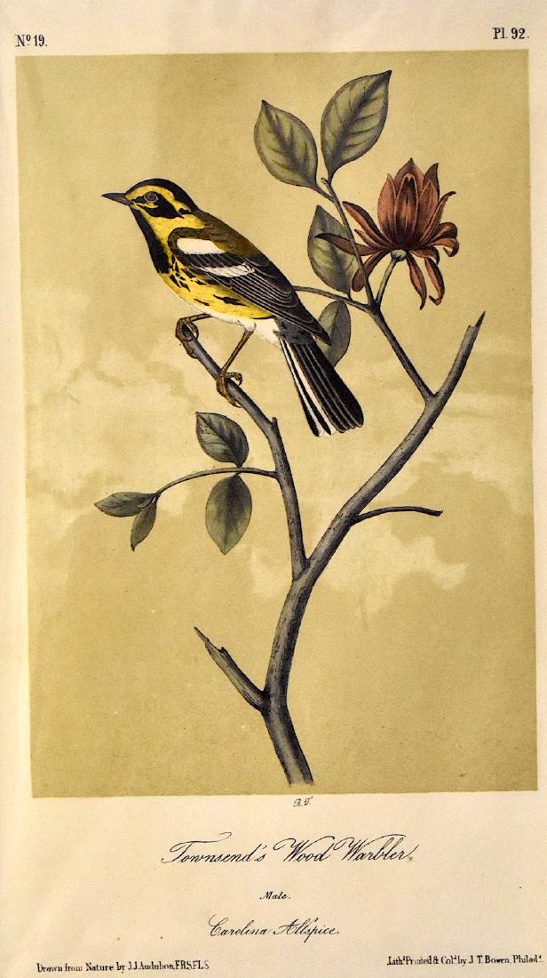 J.J. Audubon. Octavo. Townsend's Wood Warbler No.92: J.J. Audubon, Plate No.92 Townsend's Wood Warbler From the Royal Octavo Edition of The Birds of America.1840-1844. First Edition. Lithographed and hand-colored by J.T. Bowen in Philadelphia and New Yo