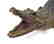 Late 19th C. Taxidermy Alligator - 2