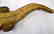 Late 19th C. Taxidermy Alligator - 6