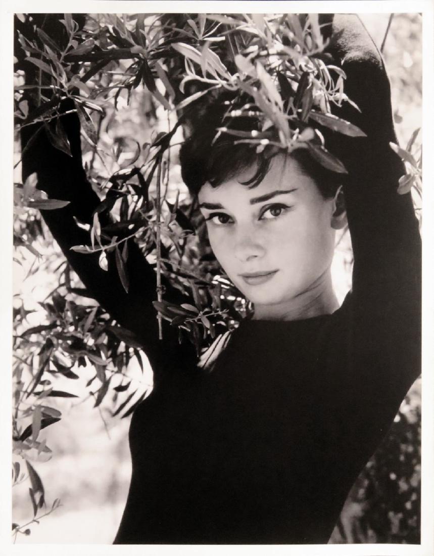 Audrey Hepburn Photograph by Philippe Halsman (1 of 2)