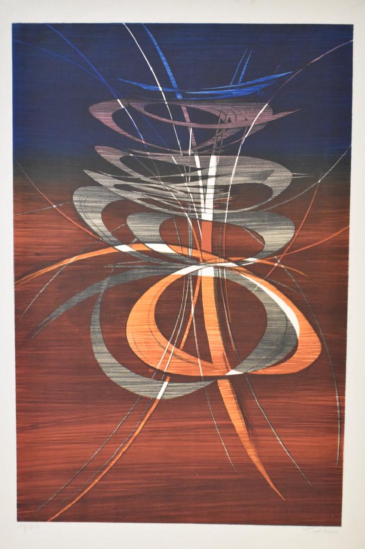 Terry Haass; 20thC. Lithograph - No Infinity Signed: Terry Haass(Czech Republic b.1923) Color lithograph. No Infinity. Pencil signed and numbered 159/250; Image size: 30.75in. X 20.5in. Overall size: 35.25in. X 23.5in.