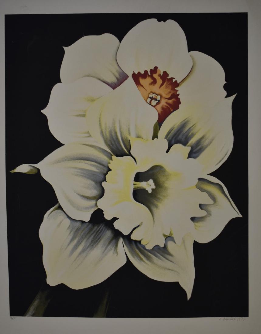 Lowell Nesbitt; 20thC. Serigraph - Two White Flowers: Lowell Blair Nesbitt, American (1933 - 1993) Title: Two White Flowers Year: 1978 Medium: Serigraph, signed and numbered in pencil Edition: 98/200 Image Size: 38 x 30 inches Size: 44 in. x 36 in. (111.