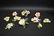 Ten(10) Miscellaneous Bone China Flowers - 2