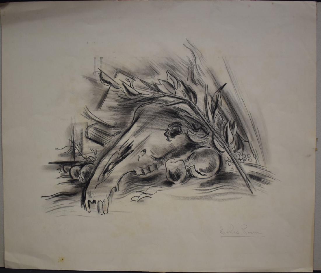 Charles Rosen; American Charcoal Drawing Signed: Charcoal on paper. A Still Life - Animal Skull on Table. Signed l.r.; 17in. X 20in.(paper size) Provenance: direct descent from the Charles Rosen estate