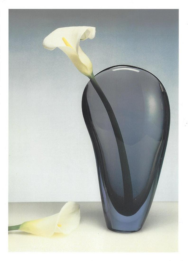 Robert Mapplethorpe Original Press Photo: Robert Mapplethorpe, 7" x 5" press photo, used in a magazine in 1985. It comes with details by the photographer for publicity. The photo is printed on double weight gloss paper and is in good conditio