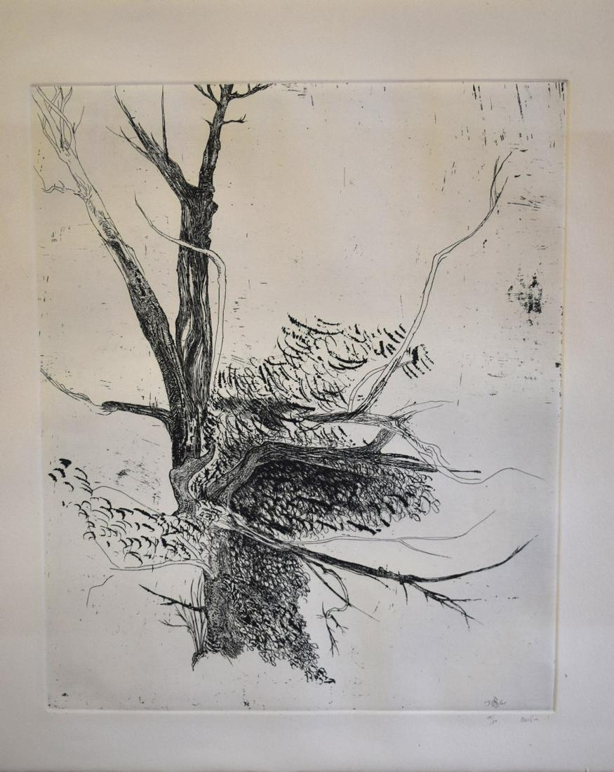 Leonard Baskin; 20thC. American Etching Signed: Etching on ivory wove paper. Thorn Apple. Pencil signed and numbered 14/50. Dated 1961 in the plate; 22in. X 22in.(paper size)