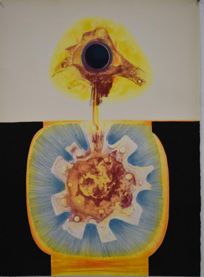 Kenneth Tyler; 20thC. Modernist Lithograph - Solar Bird: Kenneth Tyler(b.1931) color lithograph. Solar Bird. Pencil signed, titled and numbered 15/20; Overall size: 30in. X 22in.