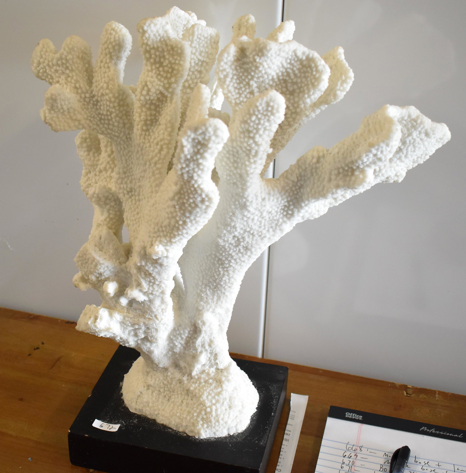 Sea Coral on Onyx Stand. Multi Branched: 16"H