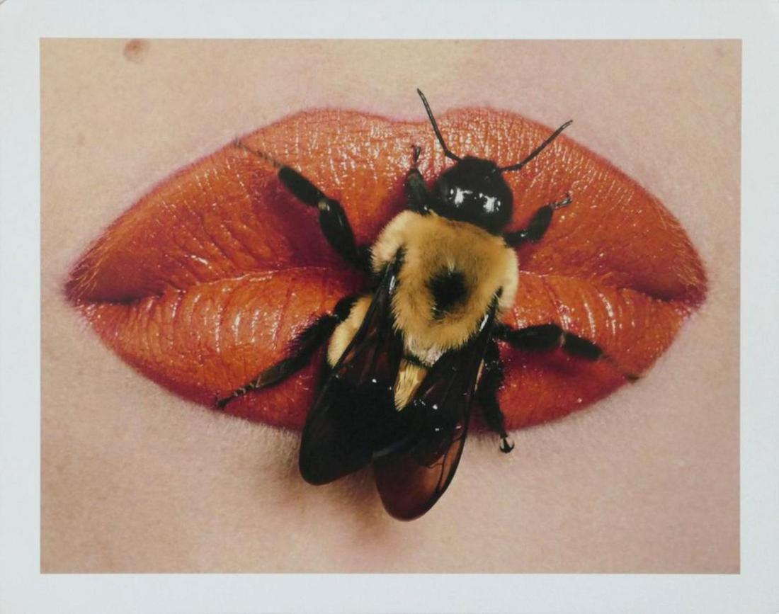 Bees On Lips Irving Penn Publication Photo: Bees On Lips Irving Penn Publication Photo Bees On Lips, measuring approximately, 9.5"x12" with white border. Taken by Irving Penn in 1995, printed 1998. It comes stamped by the photographer and agenc