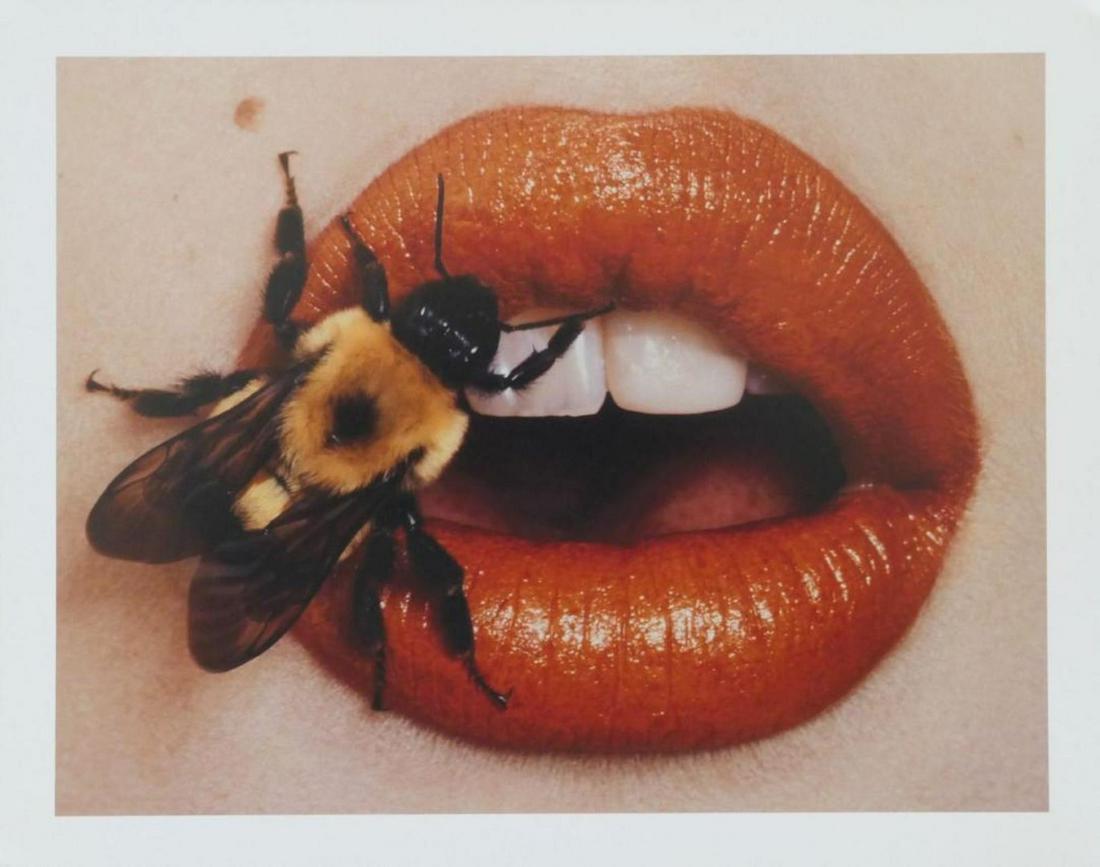 Bees On Lips Irving Penn Publication Photo: Bees On Lips Irving Penn Publication Photo Bees On Lips, measuring approximately, 9.5"x12" with white border. Taken by Irving Penn in 1995, printed 1998. It comes stamped by the photographer and agenc