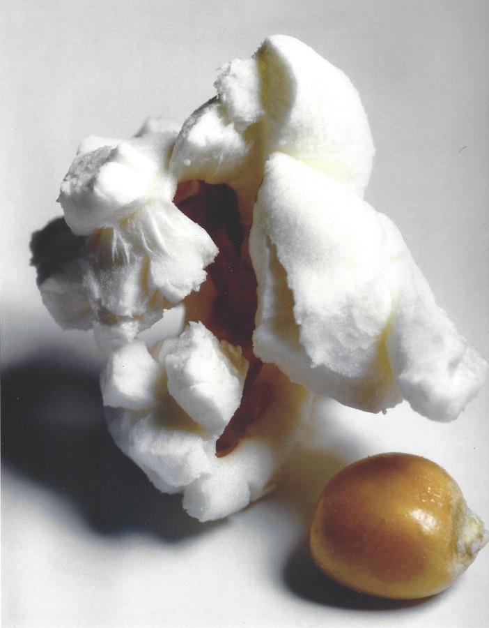 Irving Penn Pop Corn Publication Photo: Original Publication Photo, measuring approximately, 11"x9" includes white border. Taken in 1991, printed 1999. It comes stamped by the photographer and agency. The photograph is printed on double wei