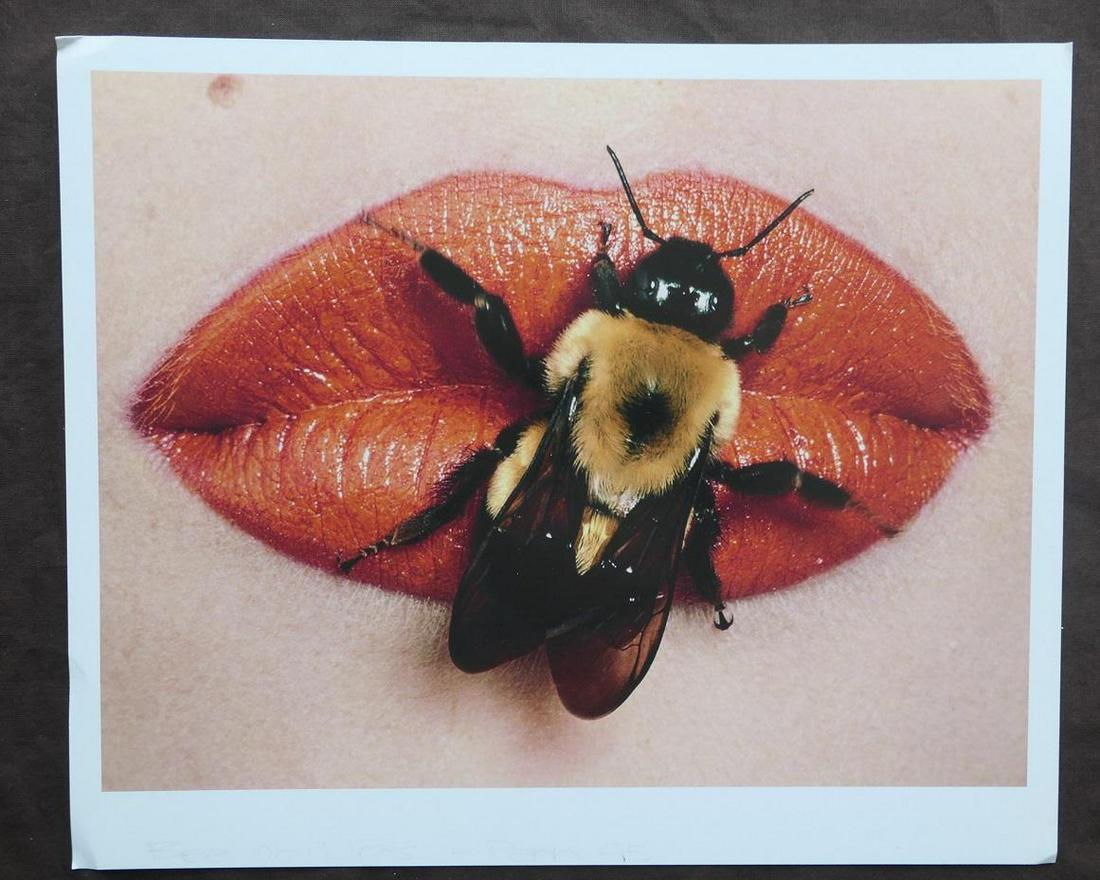 Irving Penn Bee On Lips Publication Photo: Original Publication Photo, measuring approximately, 11"x9.5" includes white border. Printed 1999. It comes stamped by the photographer and agency. The photograph is printed on double weight slight gl