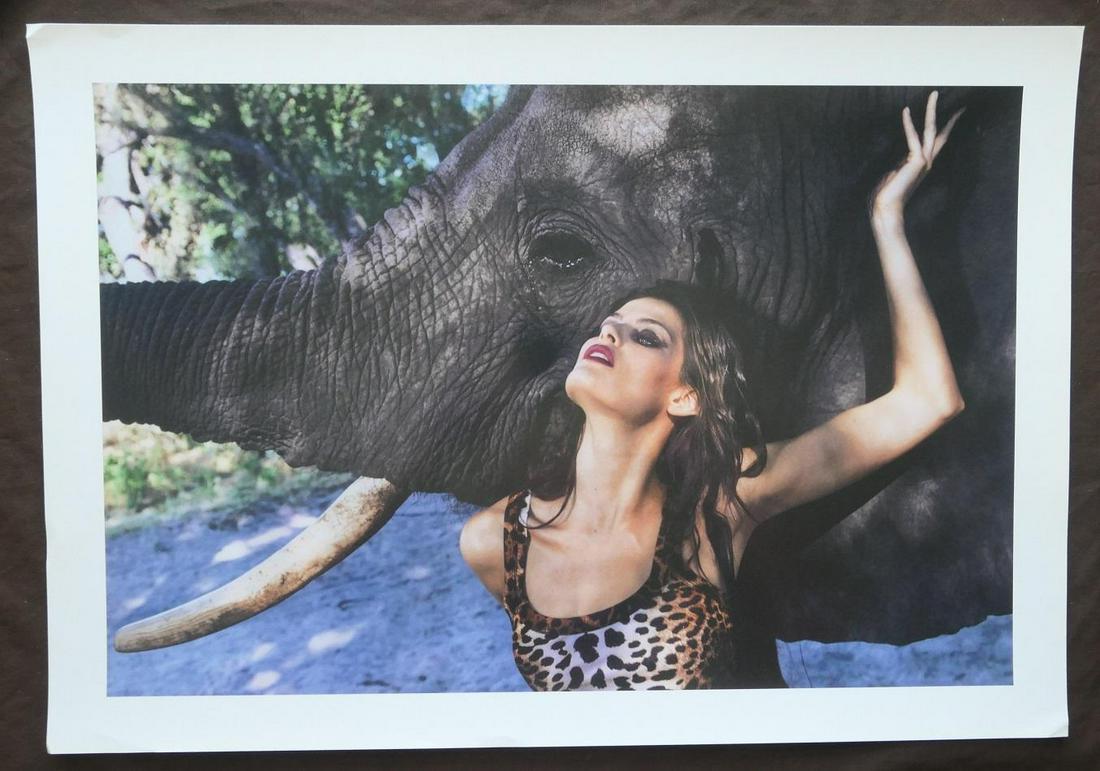 Peter Beard Pirelli Publication Photo: Original Publication Photo, measuring approximately, 13"x18.5" includes white border. Pirelli Proof. Taken in 2009. It comes stamped by the photographer and agency. The photograph is printed on double