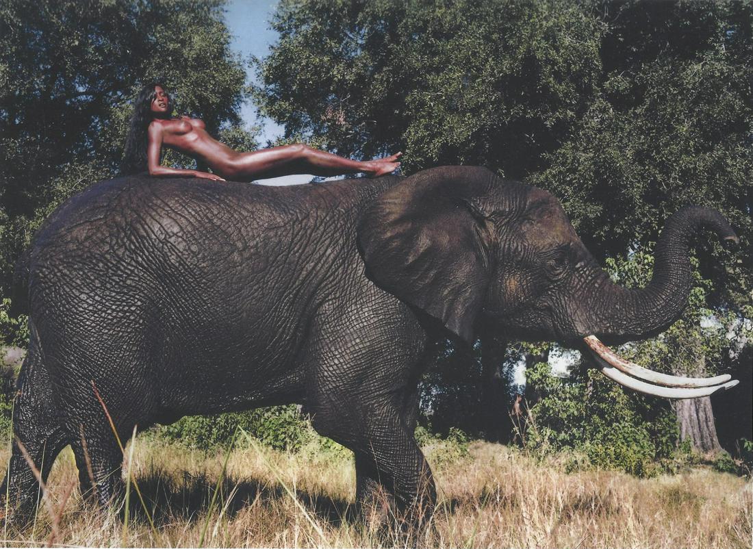 Peter Beard Pirelli Nude Publication Photo: Original Publication Photo, Diarata Niang, measuring approximately, 12"x9" includes white border. Taken in 1996, printed 2009. It comes stamped by the photographer and agency. The photograph is printe