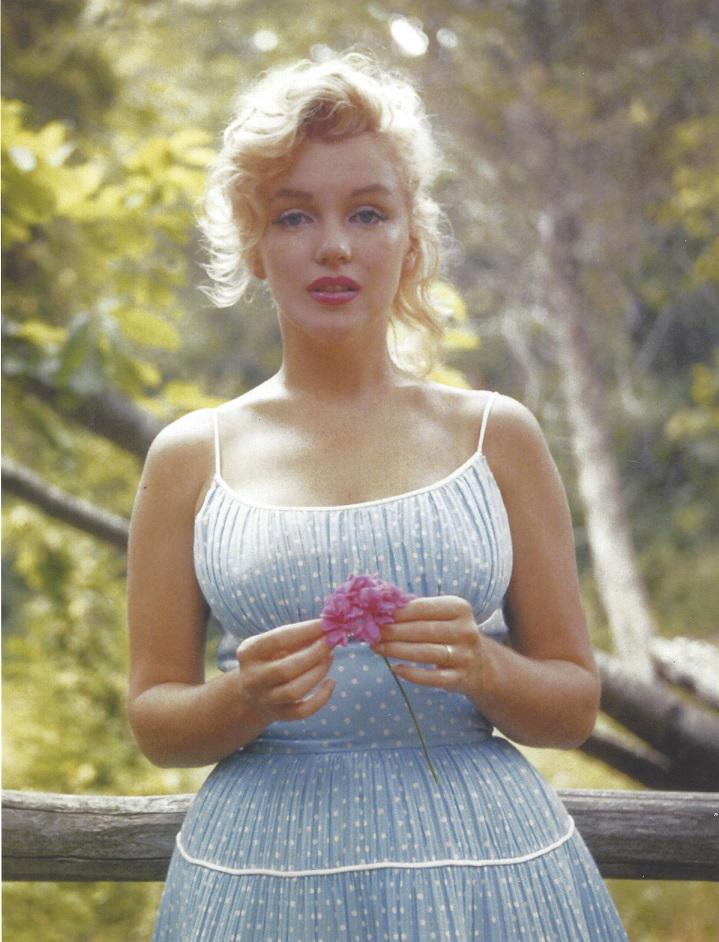 Marilyn Monroe Original Sam Shaw Photo: Marilyn Monroe original Sam Shaw, 8" x 10" press photograph with border. This photograph of Marilyn was taken in 1959, reprinted late 1980's. A stunning portrait that shows a very sweet Marilyn. It co