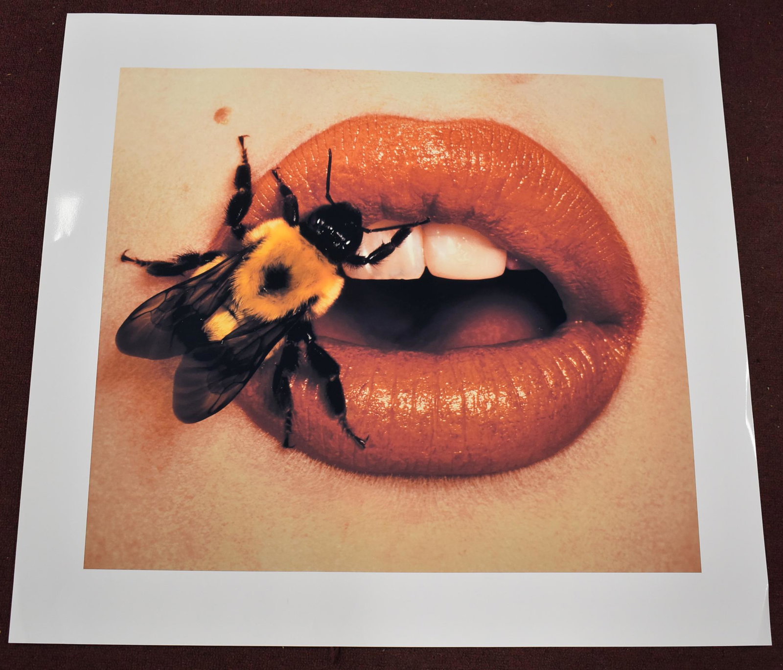 Irving Penn Bee on Lips: Stamped 27 x 29 1/2