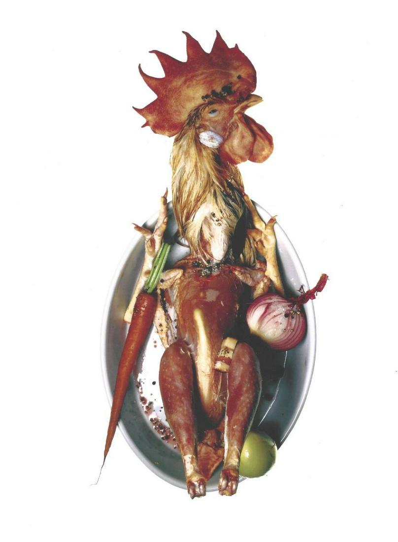 Irving Penn Chicken Publication Photo: Original Publication Photo, measuring approximately, 10"x9" includes white border. Printed 2001. It comes stamped by the photographer and agency. The photograph is printed on double weight slight glos