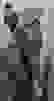 item-88939076=8