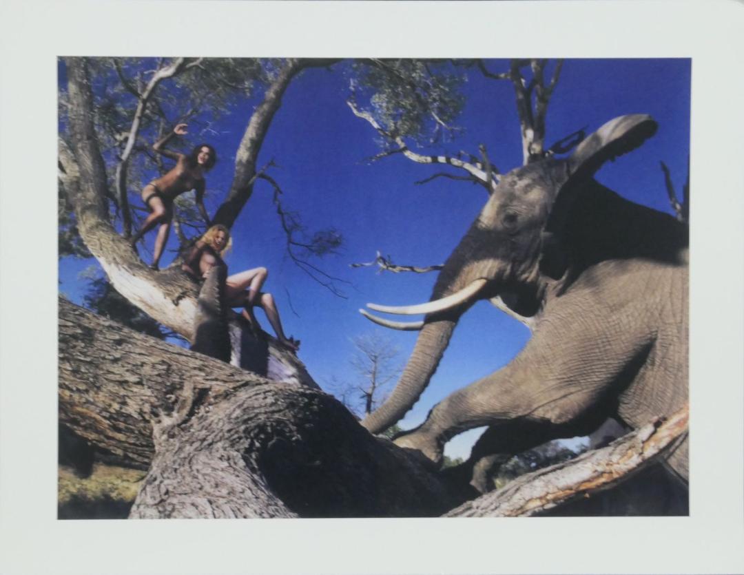 Peter Beard Pirelli Calandar Publication Proof Photo: Original Publication proof Photo, measuring approximately, 13"x10" includes white border. Taken and printed 2009. It comes stamped by the photographer and agency. The photograph is printed on double w