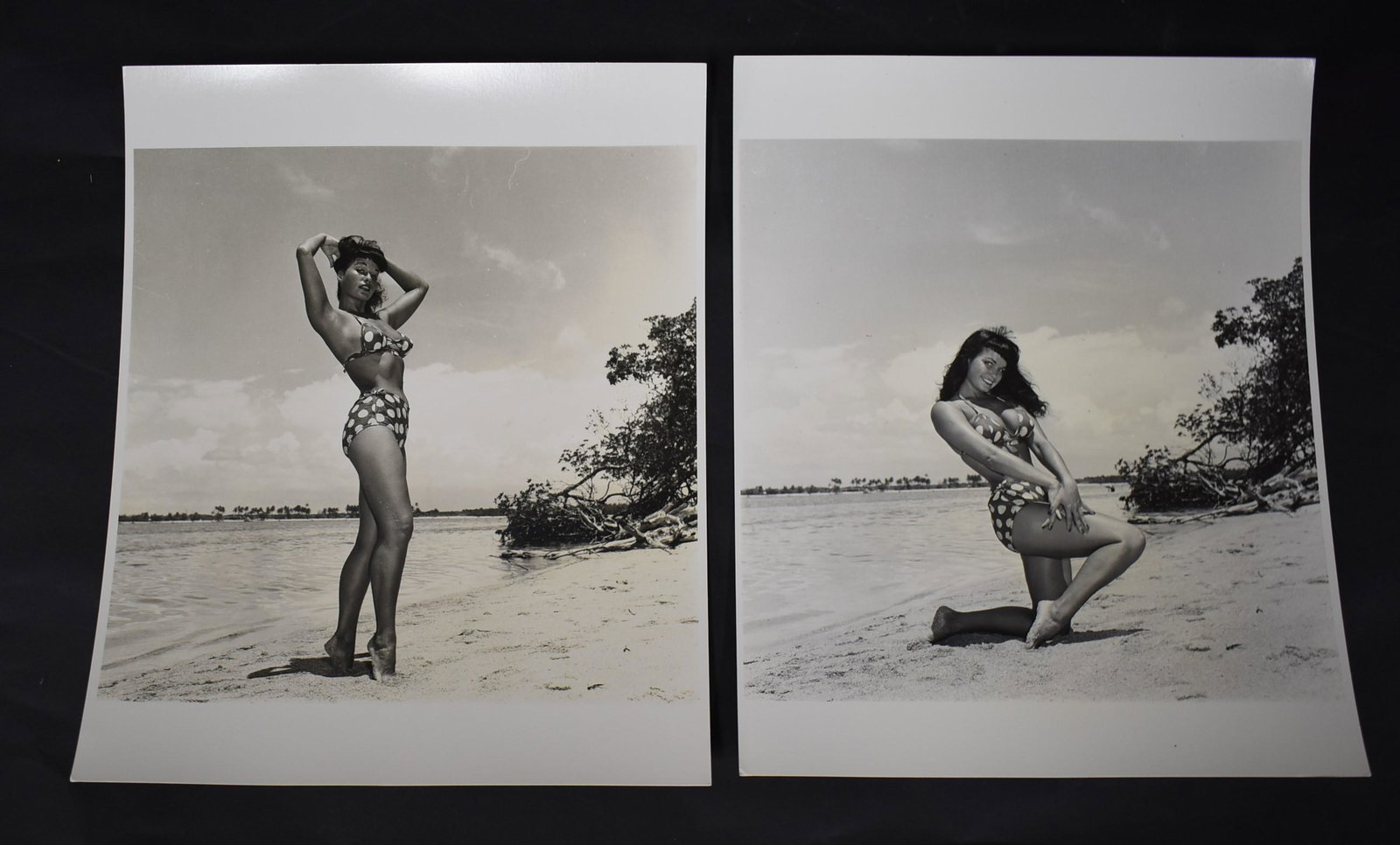Bunny Yeager Bettie Page Photos Sgd. (2): Back stamp for Bunny Yeager & Eric Kroll. Flourishing Yeager signature. Double weight matte &/or semi-gloss silver gelatin..