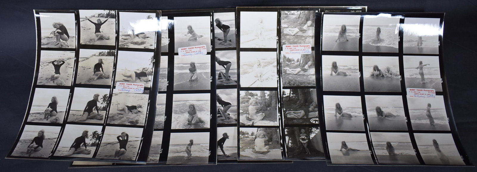 Bunny Yeager Contact Sheets for Tammy Colby: With Bunny Yeager stamps and notation that the photos are likely Playboy Playmate Myrna Webber as a blonde.1959-1960s.