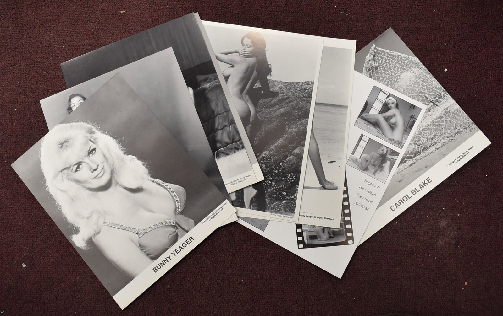 Bunny Yeager Mix Model Photos (8): all 8 x 10s Featuring Diane Webber, Evelyn West ,. Jane Duke, Anita Ventura, Bunny Yeager, Carol Blake, and Mickey Obrien