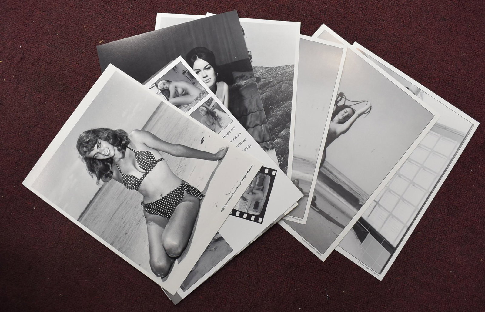 Bunny Yeager Mix Model Photos (10): all 8 x 10s Featuring Diane Webber, Evelyn West ,. Jane Duke, Anita Ventura, Bunny Yeager, Carol Blake, and Mickey Obrien