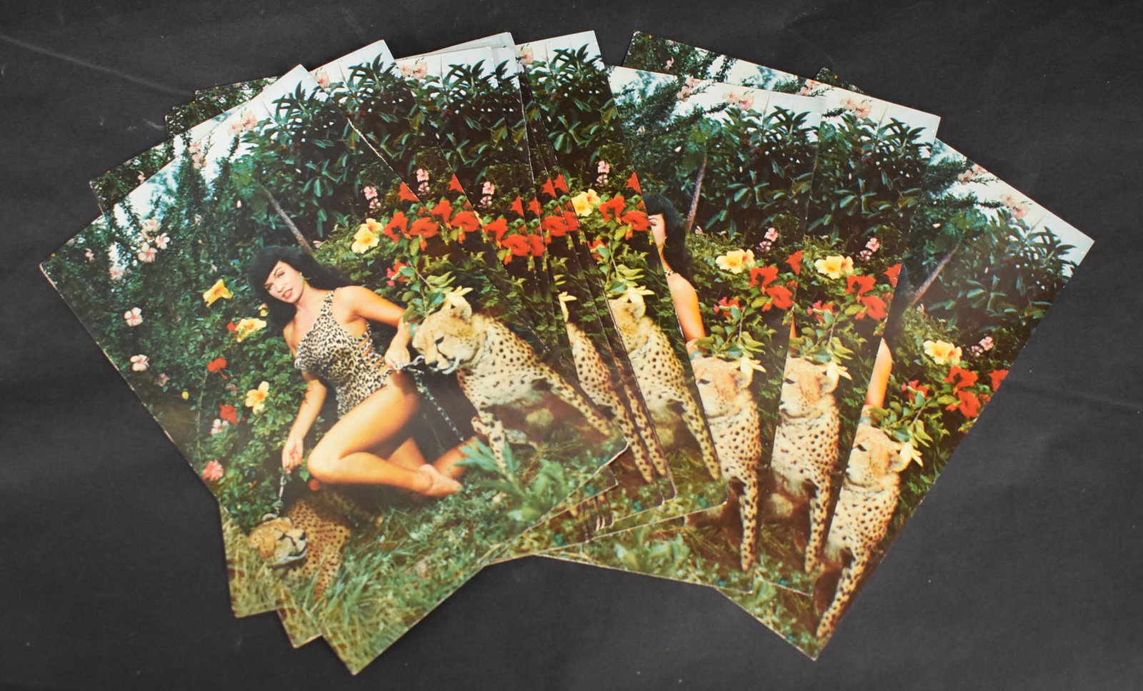 Bettie Page Post Cards: Jungle Girl (20): 20 in the lot