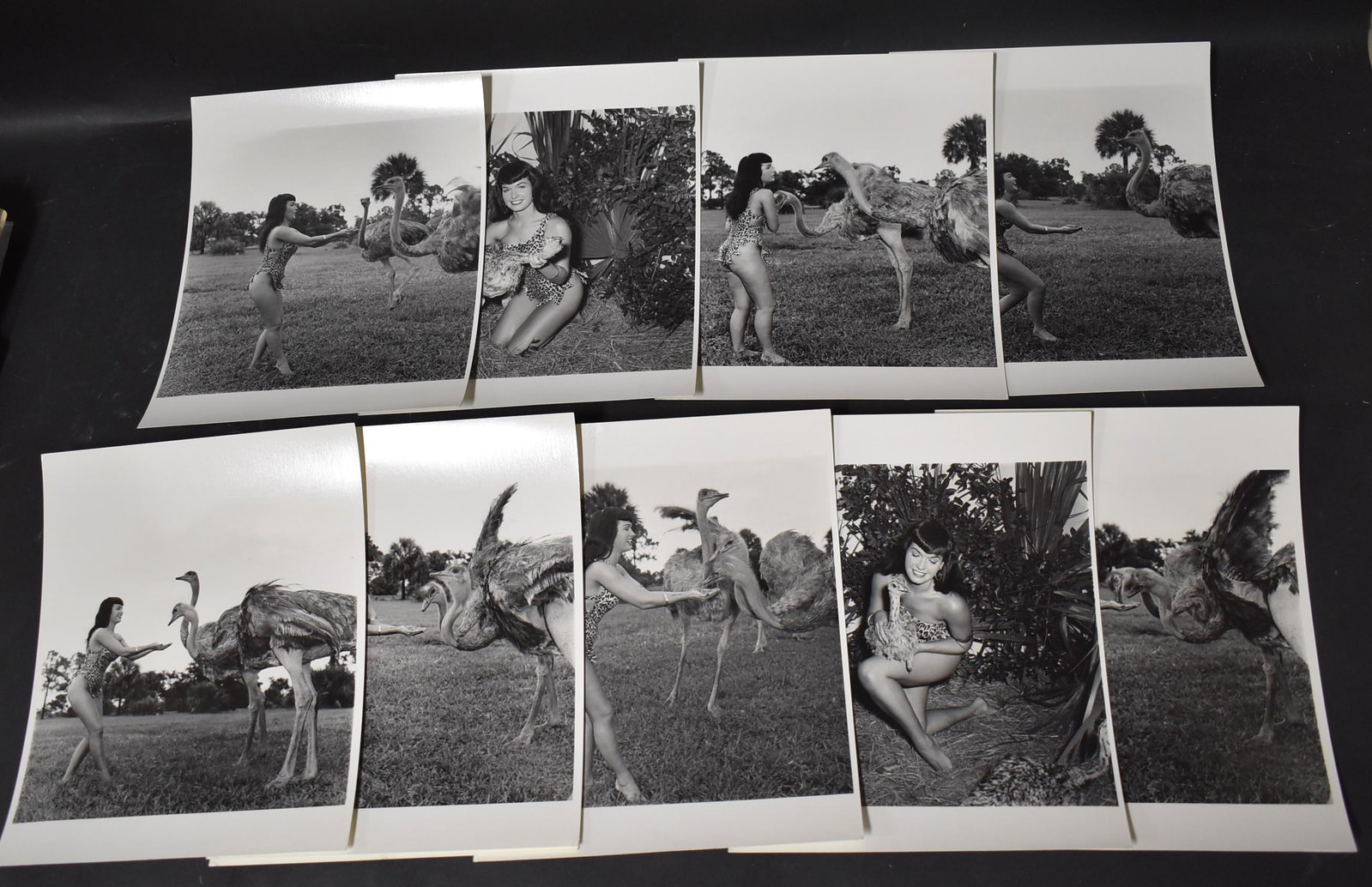 Bettie Page Era Eric Kroll Photos: (10) 8x10 Double stock All Stamped on Back Bunny Yeager Represented by Eric Kroll