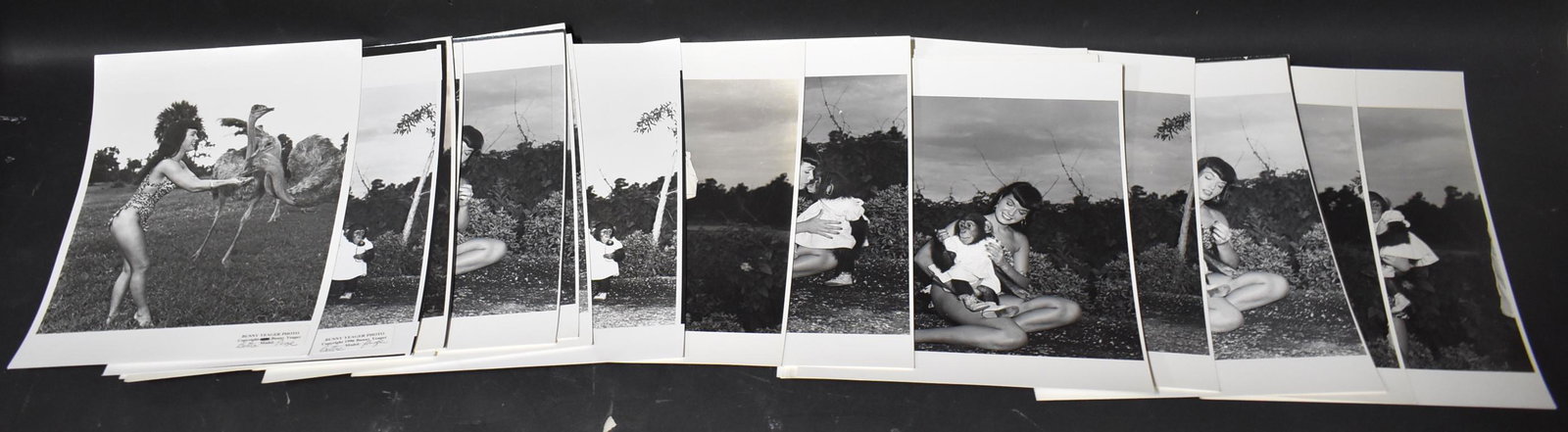 Bettie Page Era Eric Kroll Photos: (23) 8x10 Double Stock All Stamped But 2 Are Not Stamped Bunny Yeager Represented By Eric Kroll