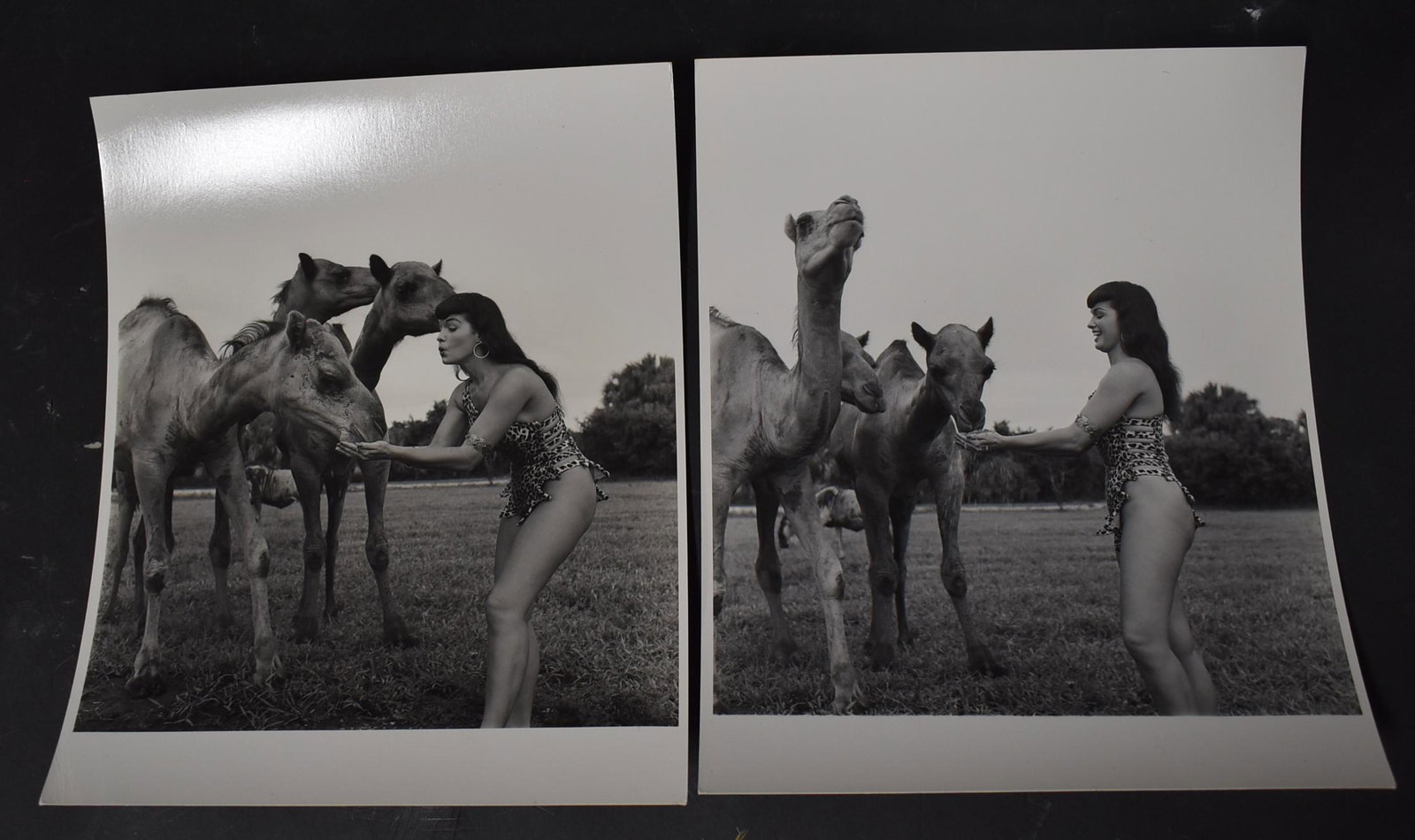 Bettie Page Era Eric Kroll Photos: (2) 8x10 Double Stock All Stamped on Back Bunny Yeager Represented by Eric Kroll
