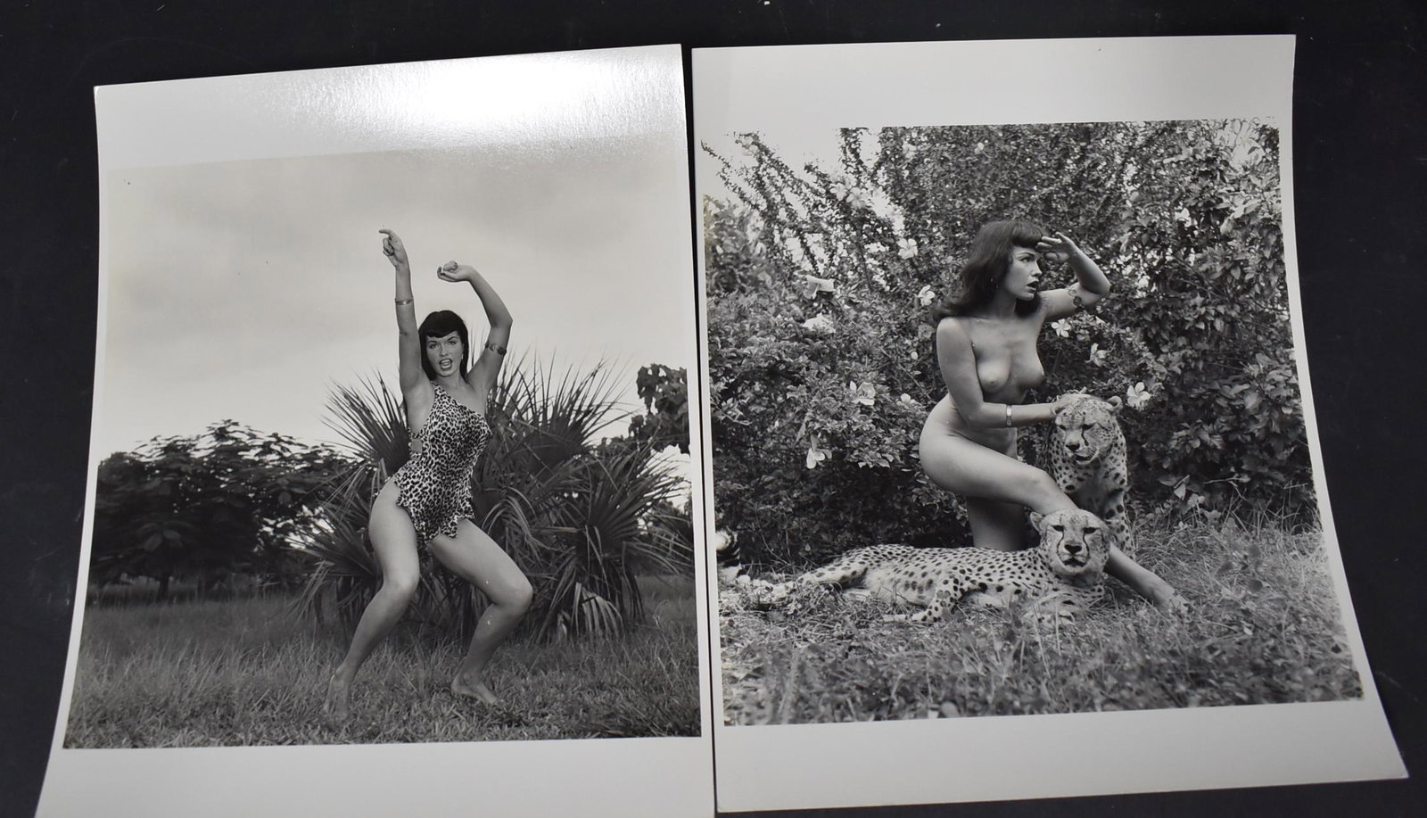 Bettie Page Era Eric Kroll Photos: (2) 8x10 Double Stock All Stamped on Back Bunny Yeager Represented by Eric Kroll