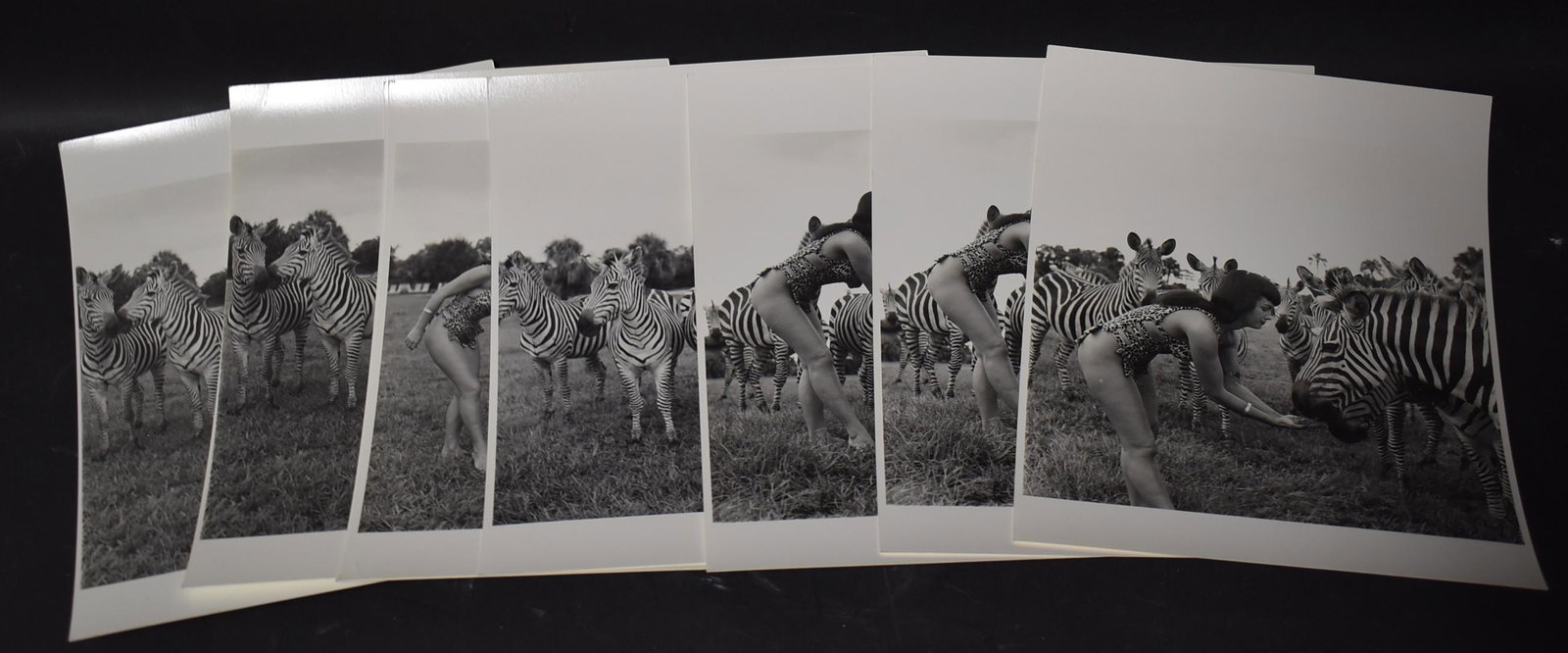 Bettie Page Era Eric Kroll Photos: (8) 8x10 Double Stock Stamped on Back Bunny Yeager Represented by Eric Kroll (2) not Stamped or Double Sided