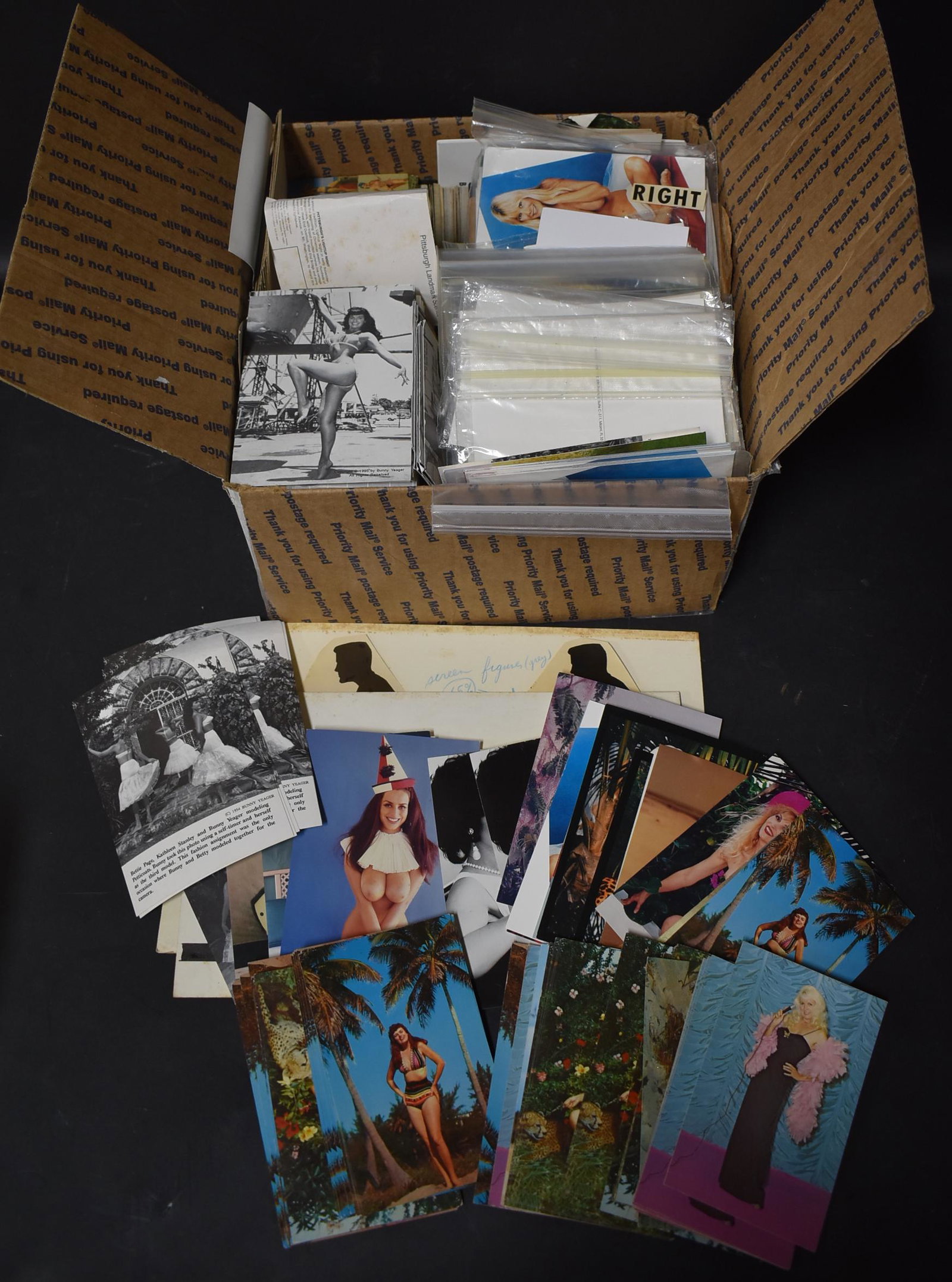 Collection of Bunny Yeager Postcards (500+): Various models including Bettie Page, Bunny Yeager, Maria Stinger, and more.