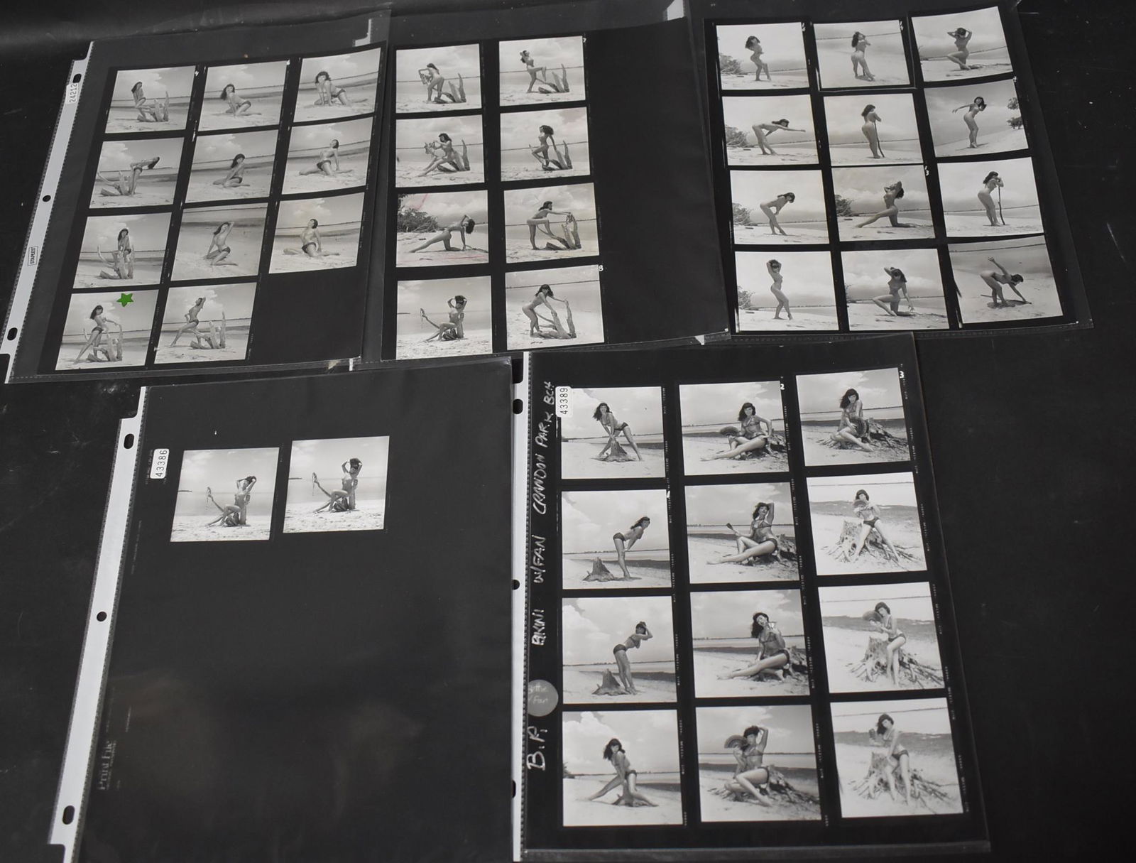 Bunny Yeager Bettie Page Contact Sheets 40+): Bettie on the beach. 3 sheets signed BY. Some backstamped.