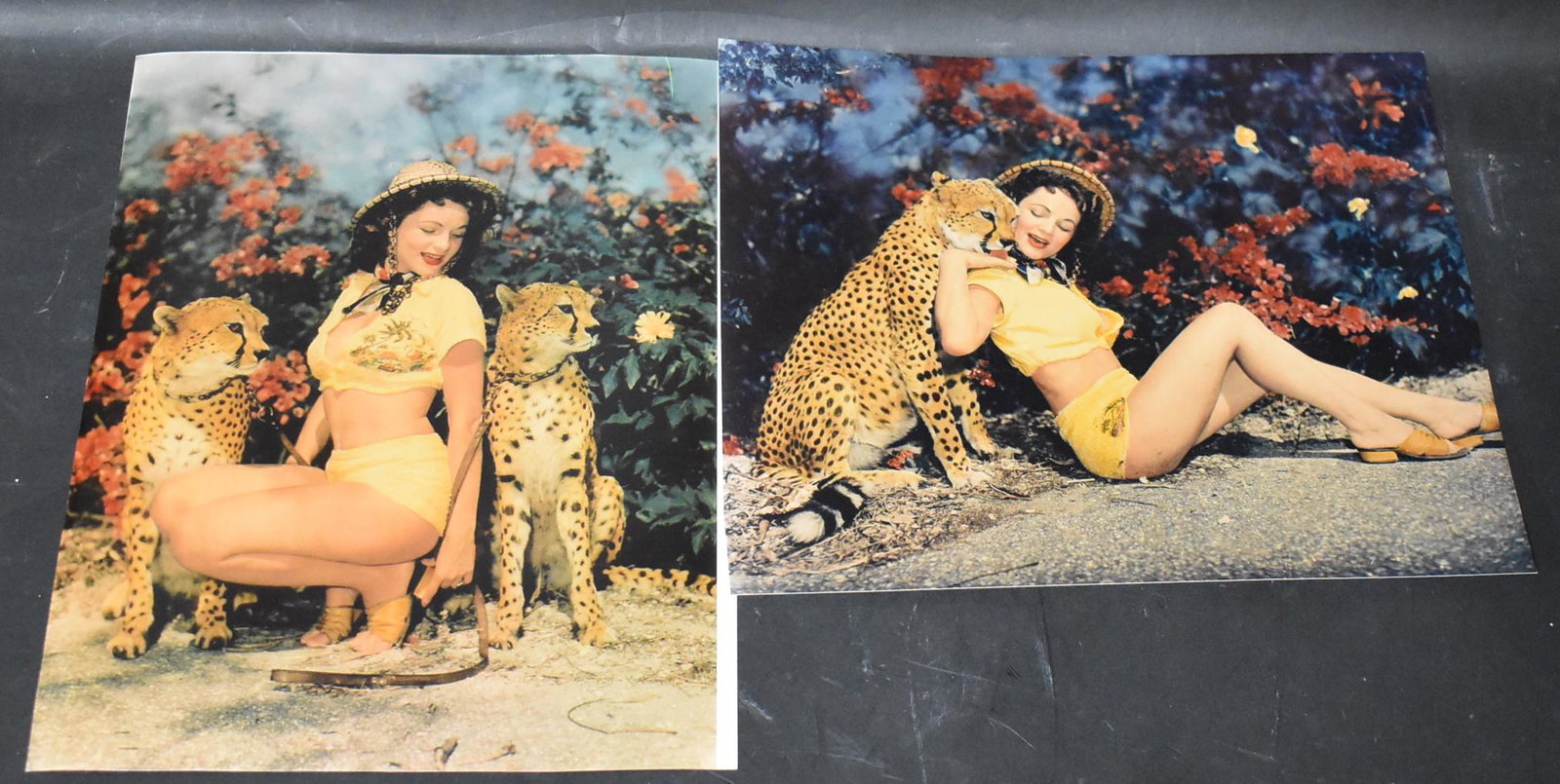 Bunny Yeager photo (2) Models in Jungle Land: Unidentified Model. Color 8x10